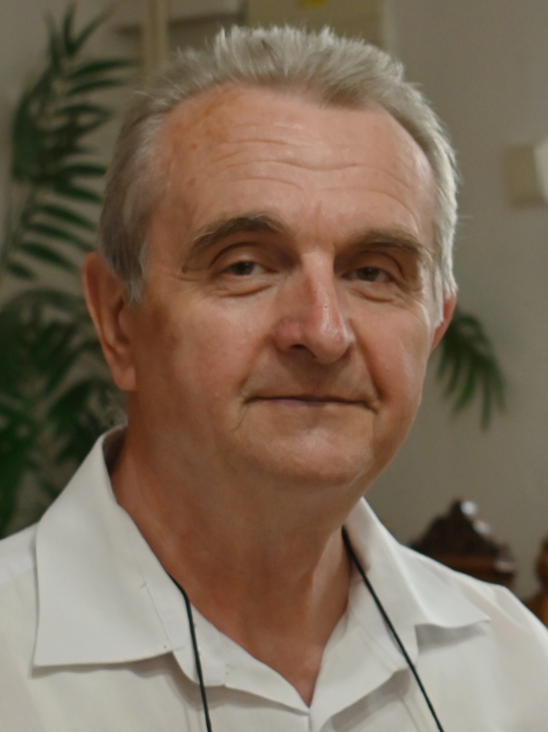 Josef Havelka